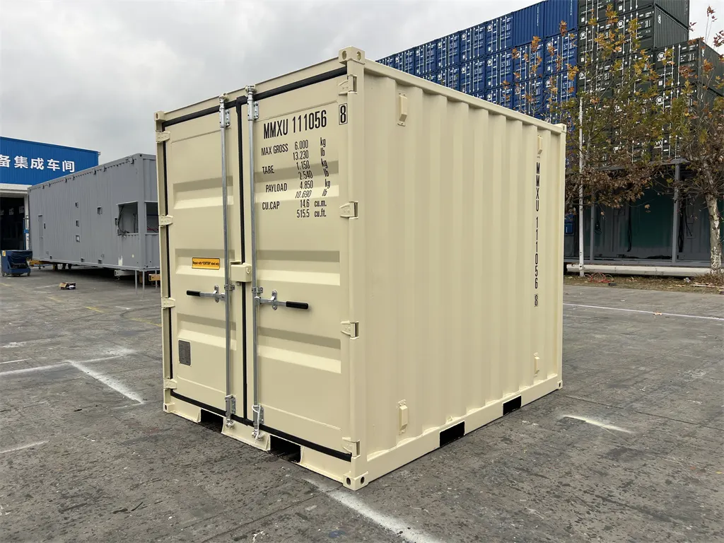 10ʹ MiniMAX shipping container